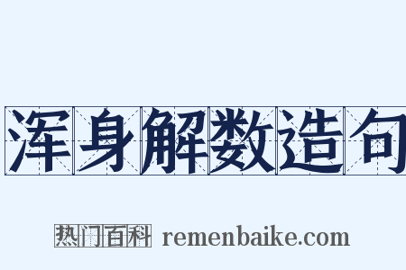 浑身解数造句是什么意思的图片